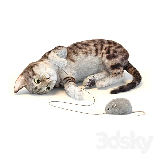 Kitten in two color options 3DModel