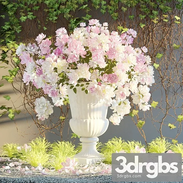 Klumba U Doma 2 3D Model Free