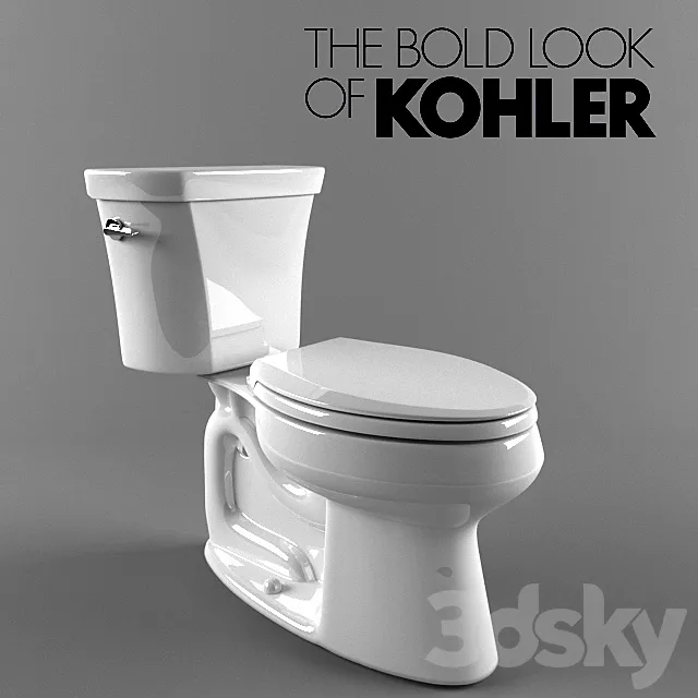 Kohler Wellworth 3DModel