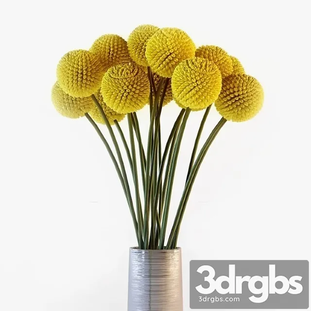 Kraspiediia 3D Model Free