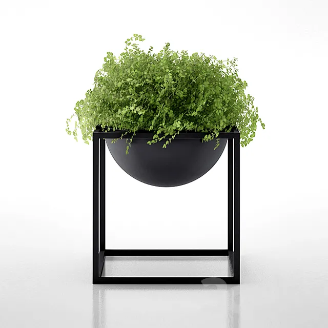 Kubus Black Bowl with clover by Lassen 3DModel