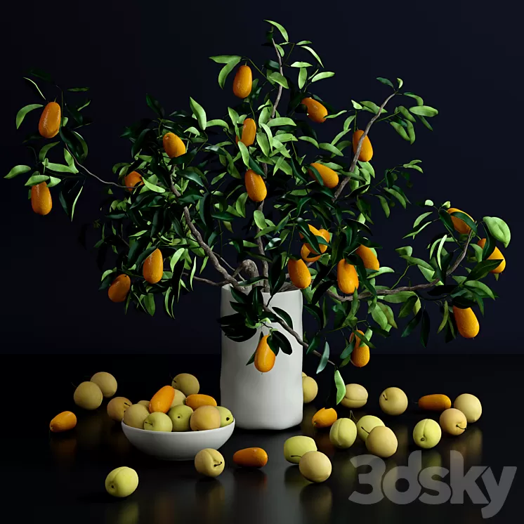 Kumquat and plums 3D Model