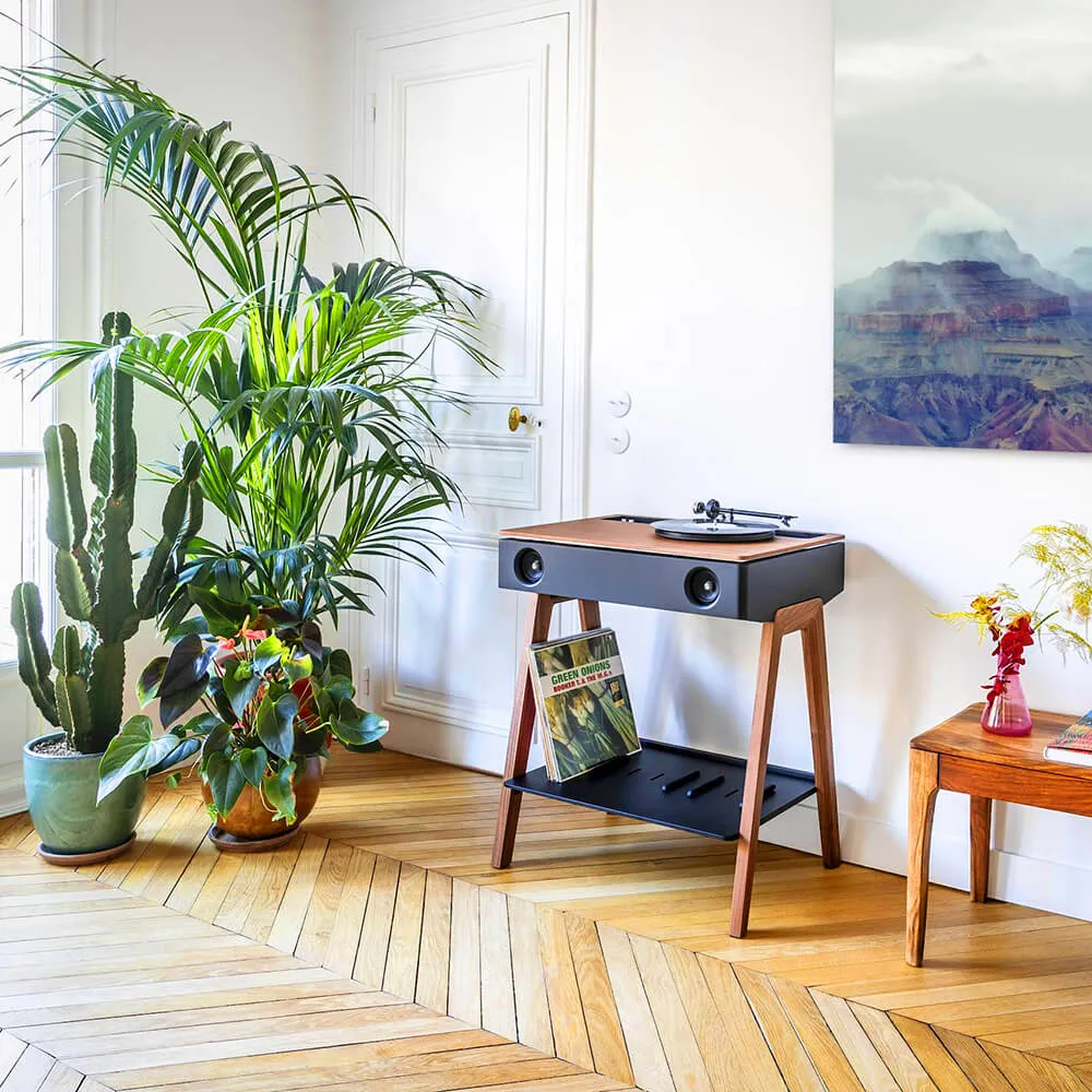 La Boite Concept - Speaker LX Turntable WALNUT 3D Model