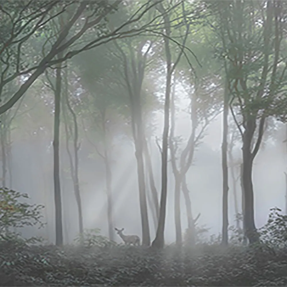 La Stanza - Natura 800170 3D Model