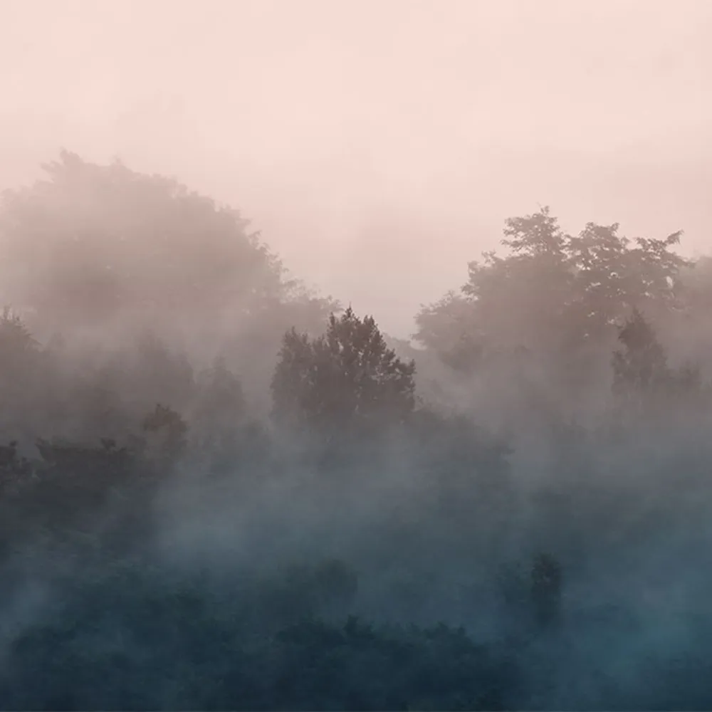 La Stanza - Natura 800175 3D Model