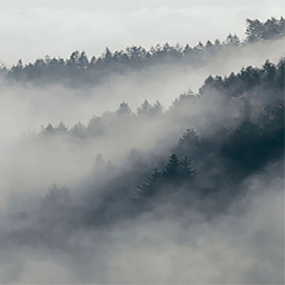 La Stanza - Natura 800180 3D Model