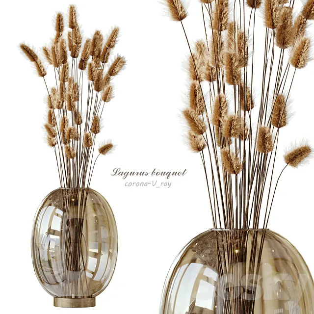 Lagurus bouquet 01 3D Model