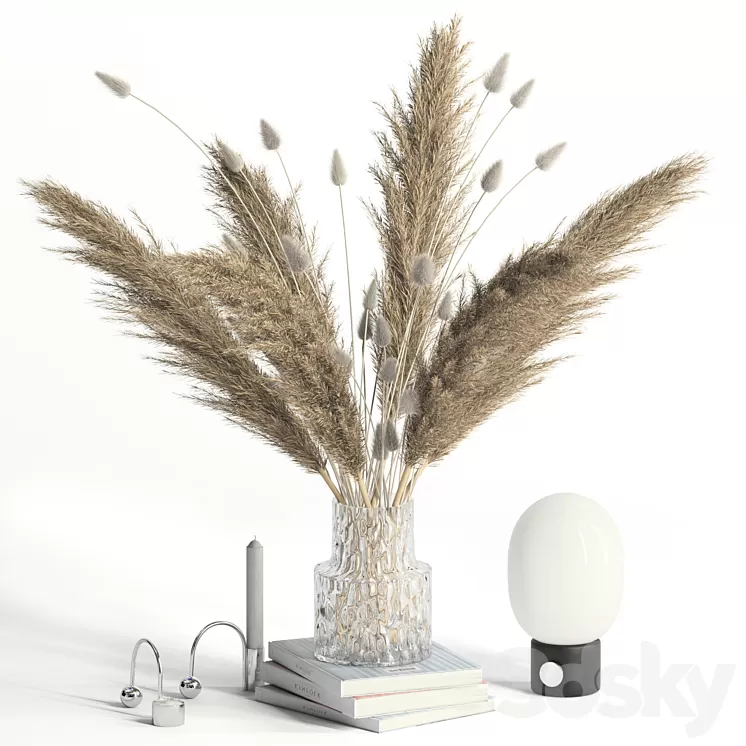 Lagurus pampas grass and Co 3D Model