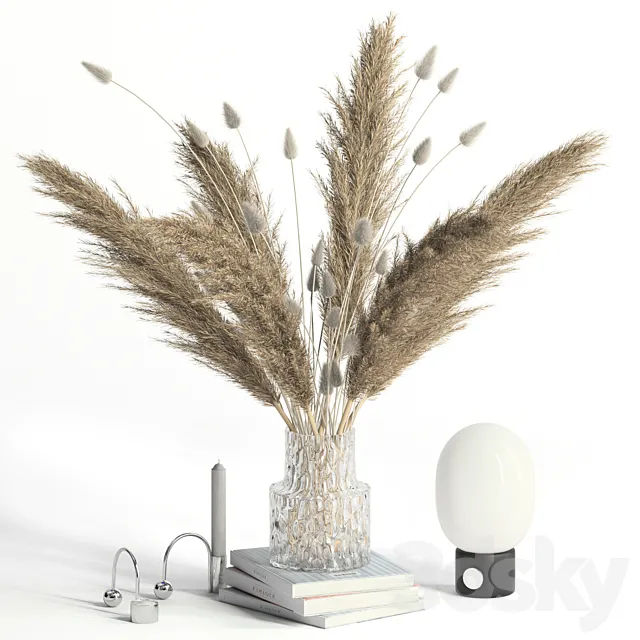 Lagurus. pampas grass and Co 3DModel