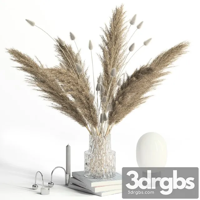Lagurus, pampas grass and co