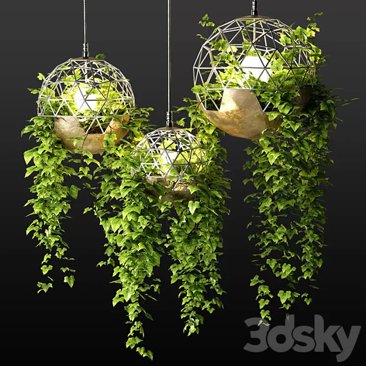 Lamps with hanging plants | The Lighters with a hanging plants 3D Model