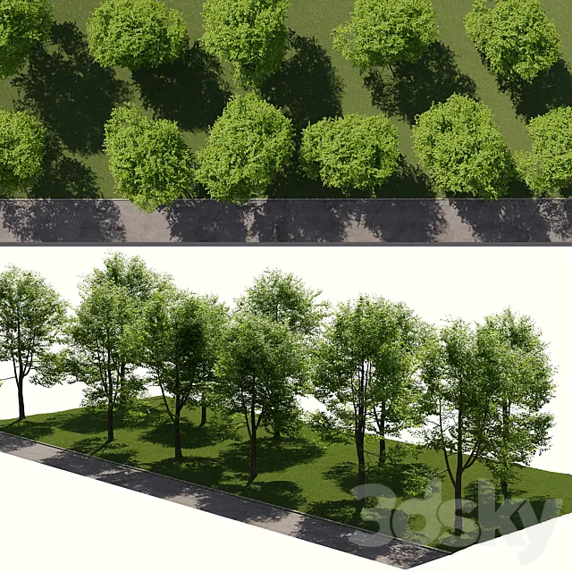 Landscape toolkit_ street Free Download