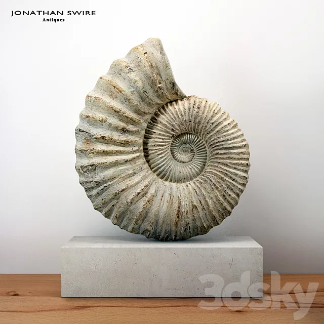 Large Ammonite Mounted on a Limestone Base 3D Model