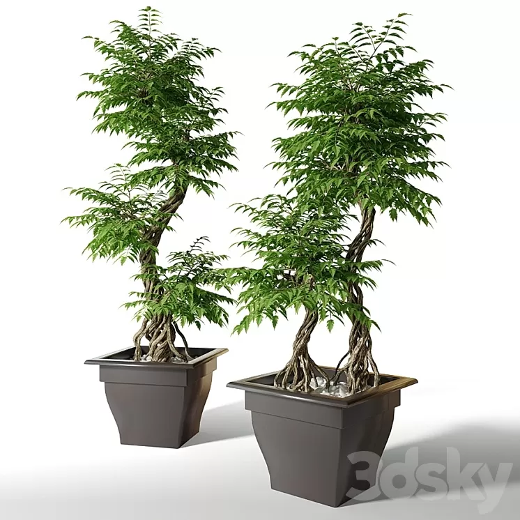 Large artificial tree Fruticosa 3D Model
