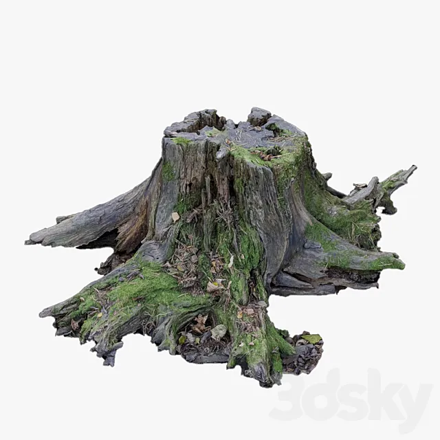 Large tree stump 3D Model