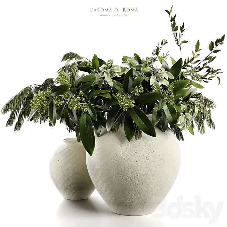 L'aroma di Roma 3D Model Free