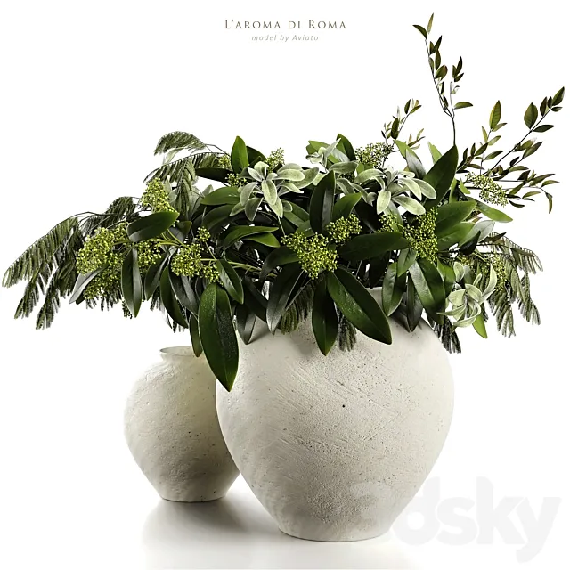 L'aroma di Roma 3DModel