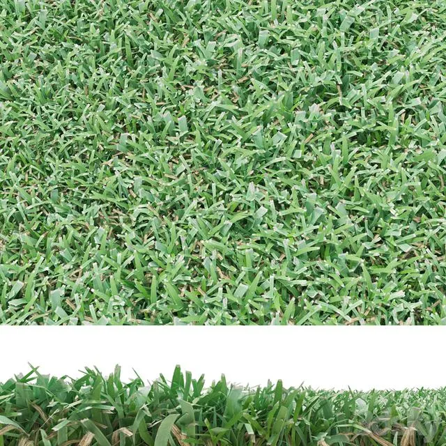 lawn 3D Model