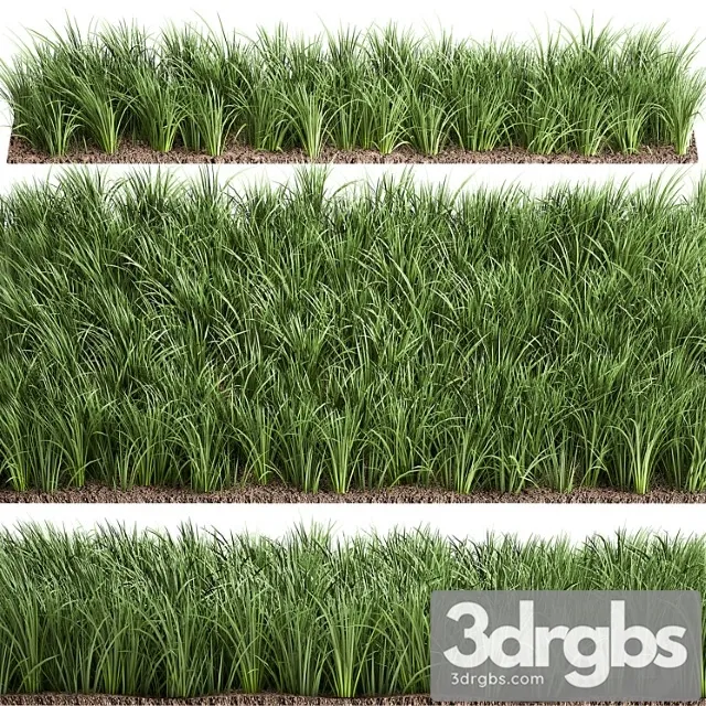 Lawn 941 Grass Bushes Landscaping 3D Model Free