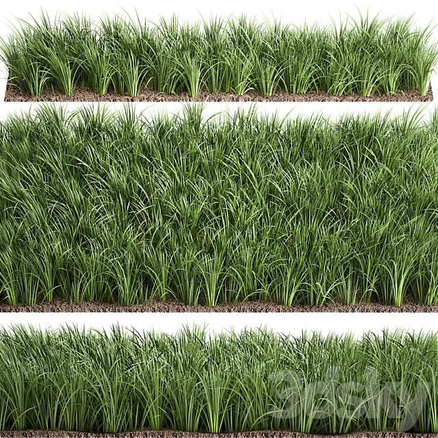 Lawn 941. grass bushes landscaping 3D Model