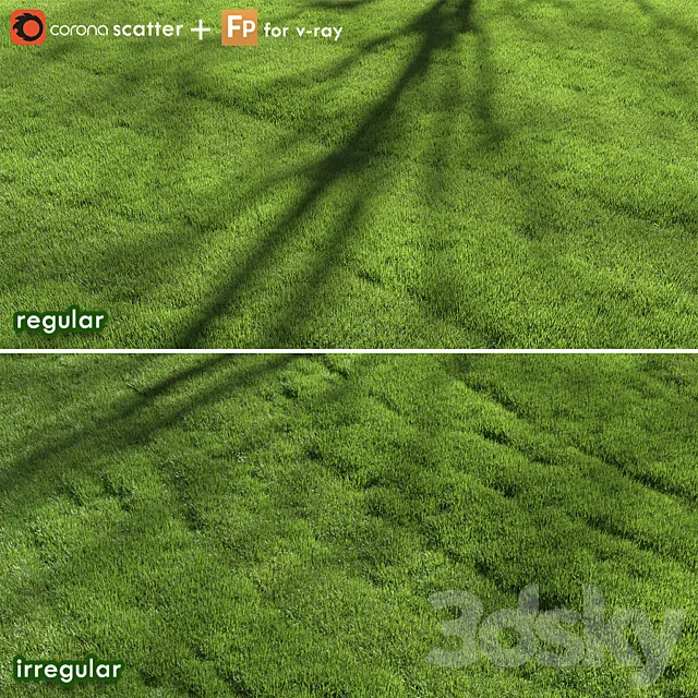 lawn grass 3D Model