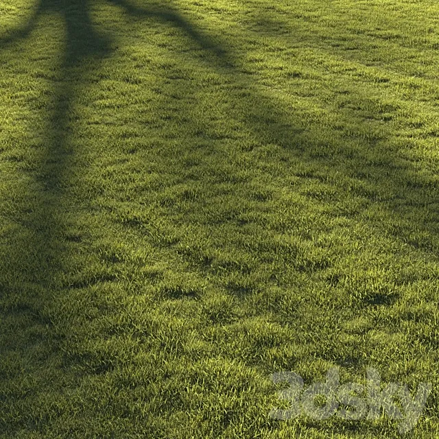 Lawn grass №2 3D Model