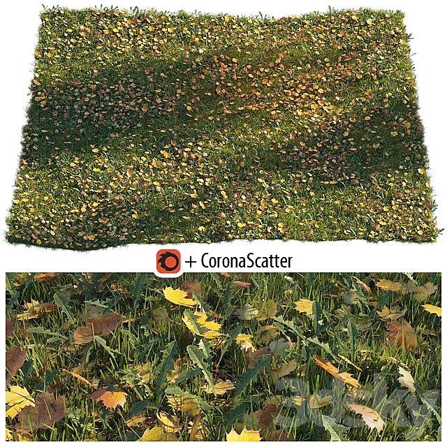 Lawn with dry maple leaves 3DModel