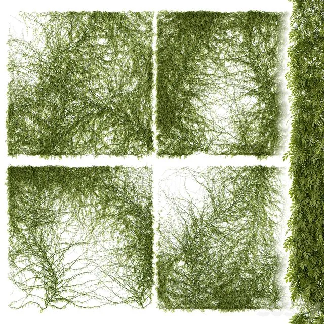 Leaves for walls 3D Model