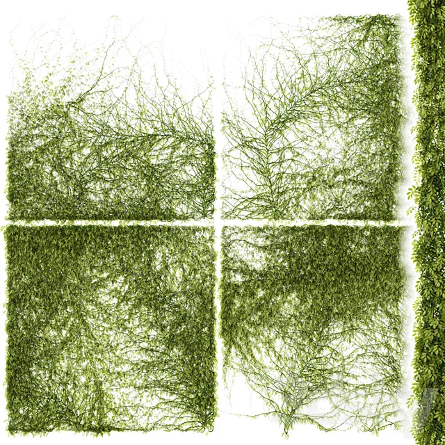 Leaves for walls v3 3DModel