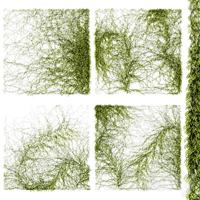 Leaves for walls v4 3D Model