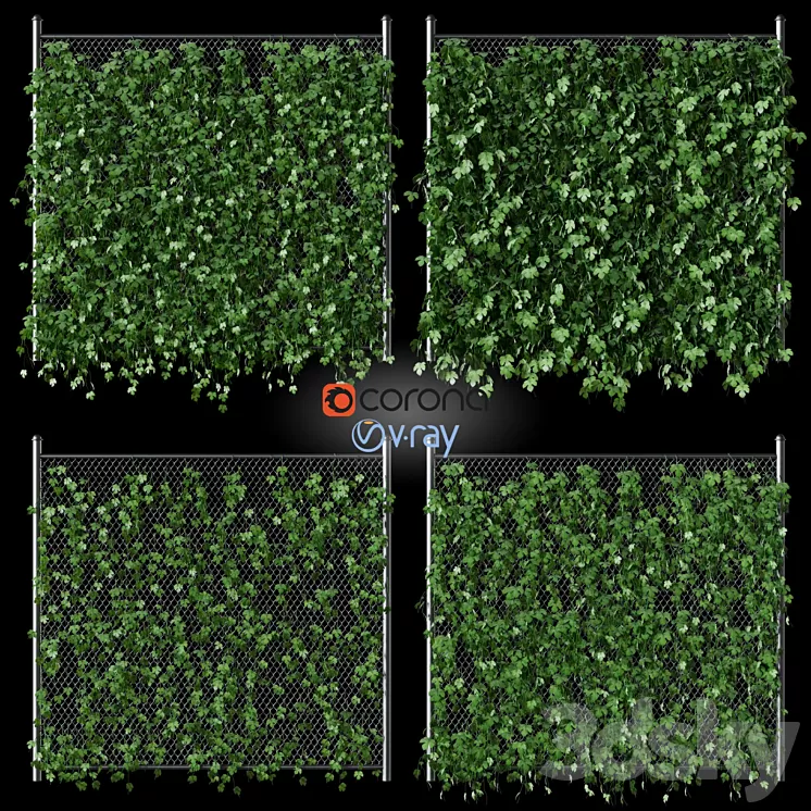 Leaves of hops on the fence net 3D Model