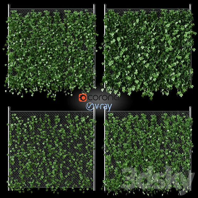 Leaves of hops on the fence net 3DModel