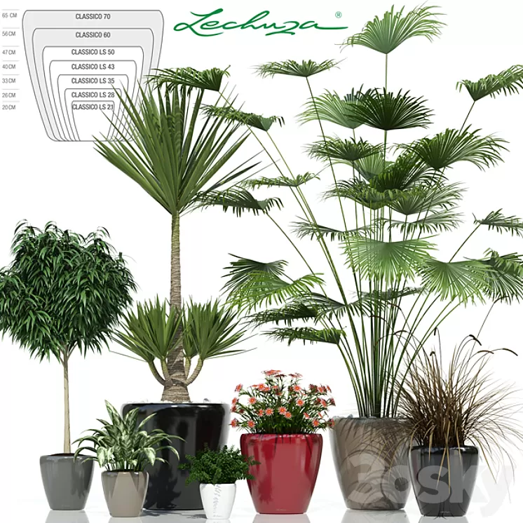 Lechuza CLASSICO 3D Model