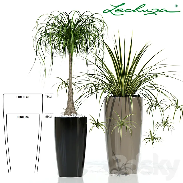 Lechuza RONDO 3D Model