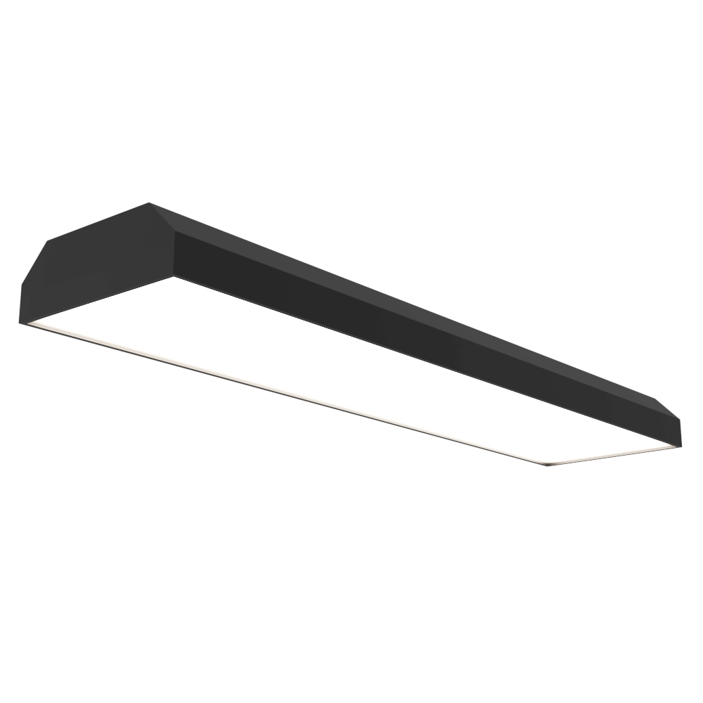 Ledalen - Surface-mounted luminaire Linear N40116 3D Model
