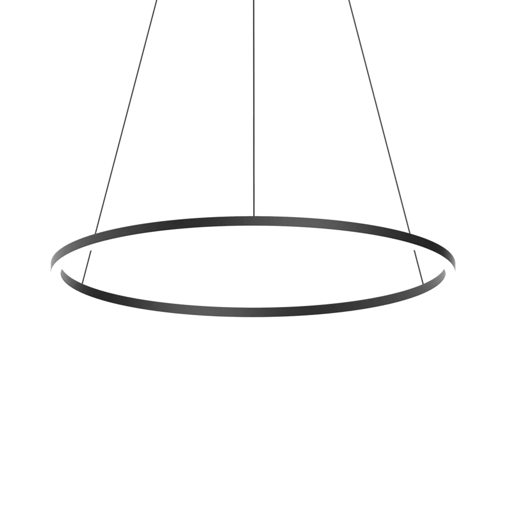 Ledmonster - Pendant lamp Ringus 3D Model
