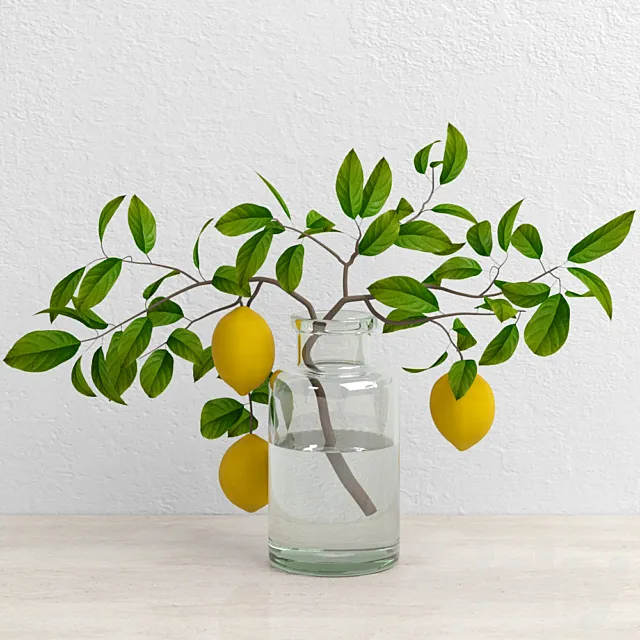 Lemons on branch 3DModel