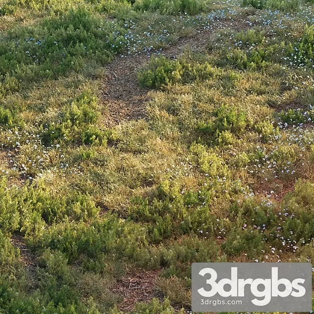 Lesnaia Trava 3D Model Free