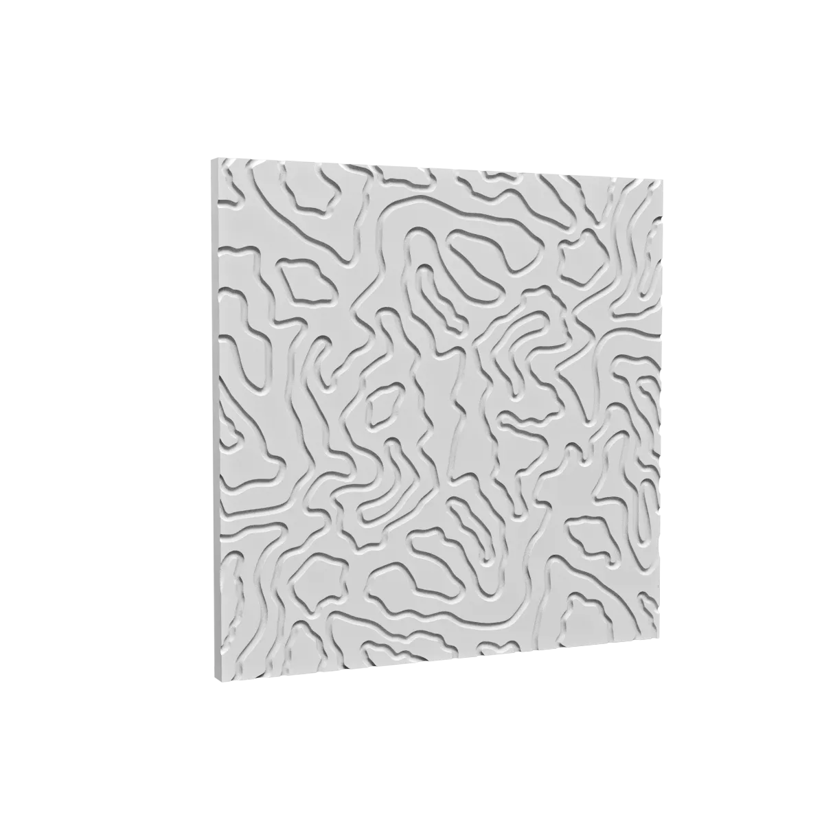 LETO - Corteccia 3D Model