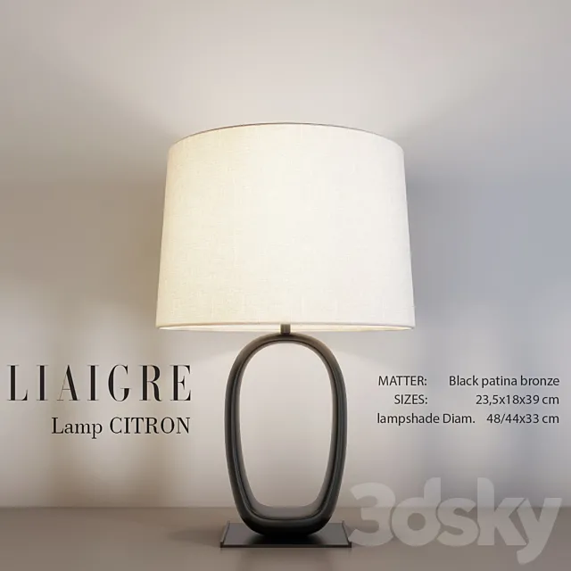 Liaigre CITRON Table Lamp 3DModel