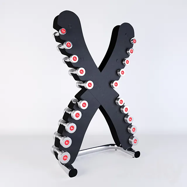 Life Fitness Set of chrome dumbbells with the X-shaped stand Free Download