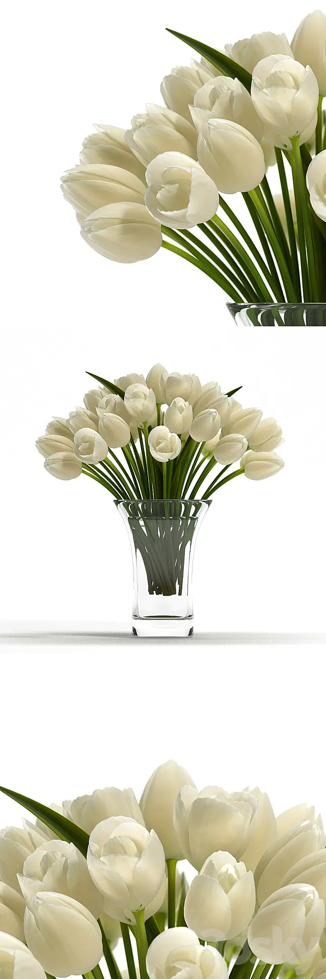 LIGHT TULIP 3D Model
