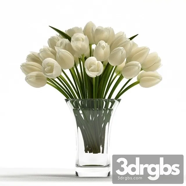 Light Tulips 3D Model Free