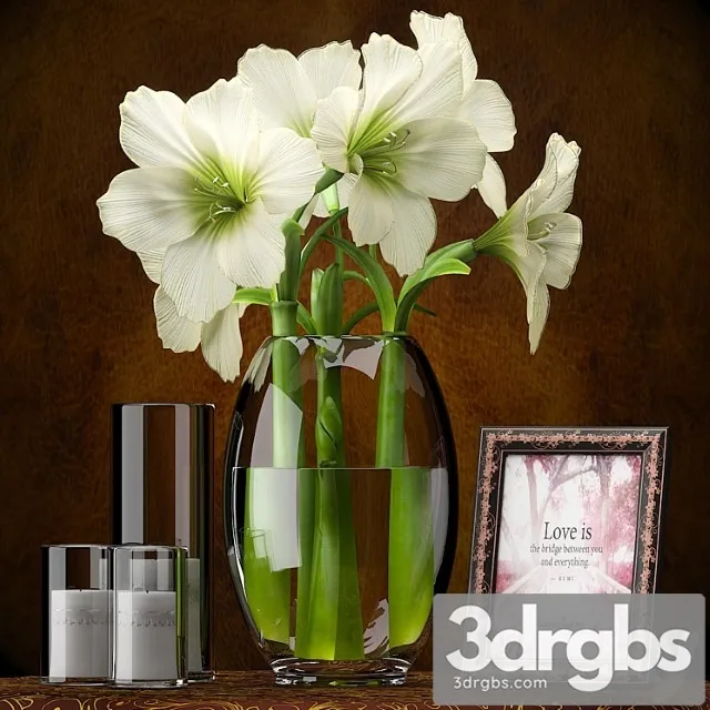 Light Yellow Amaryllis 3D Model Free