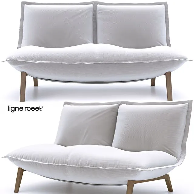 Ligne Roset CALIN sofa 3D Model