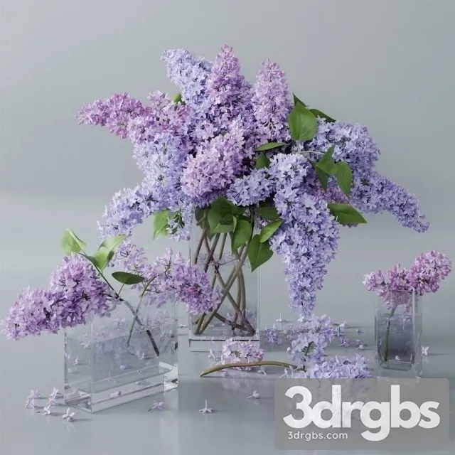 lilac 4 3D Model Free