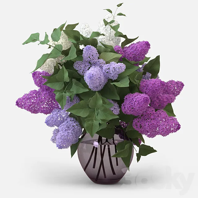 Lilac Bouquet 3DModel