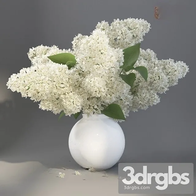 Lilac Vase Bouquet 3 3D Model Free