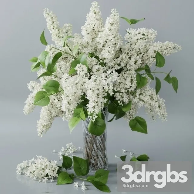 Lilac Vaset Bouquet 1 3D Model Free