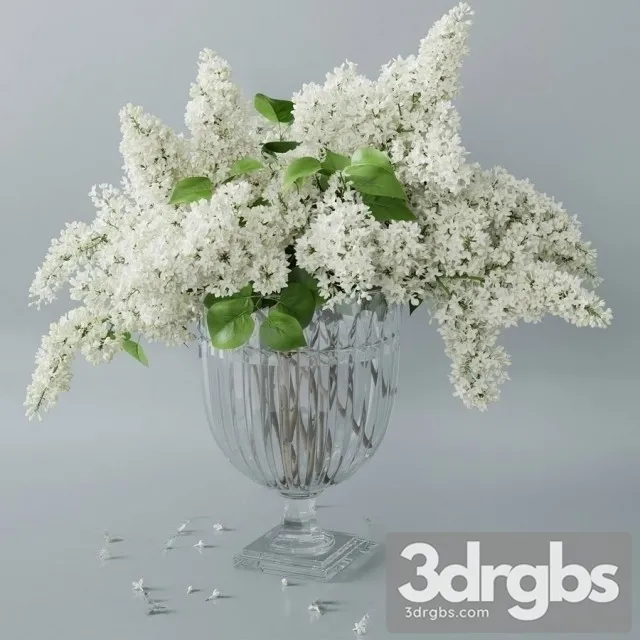 Lilac Vaset Bouquet 2 3D Model Free